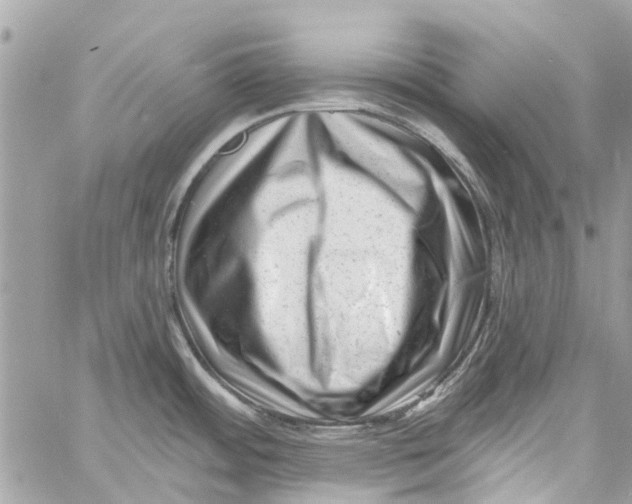 X0000058831484200510211942