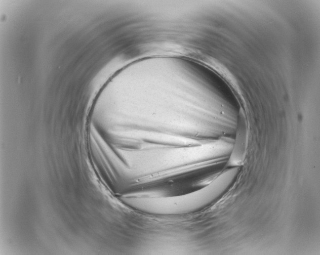 X0000058831488200510211942