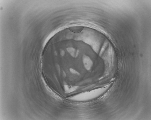 X0000058831522200510211942