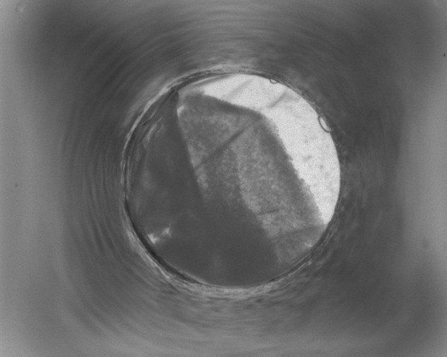 X0000058830002200510282236