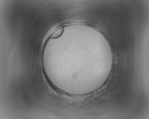 X0000058830004200510282236