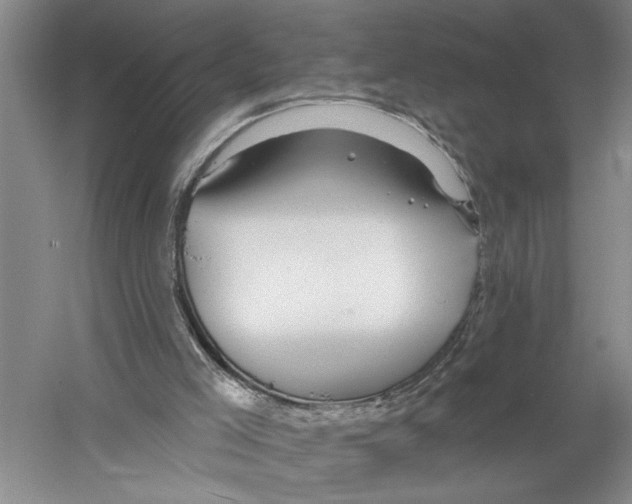 X0000058830005200510282236