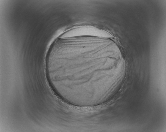 X0000058830006200510282236