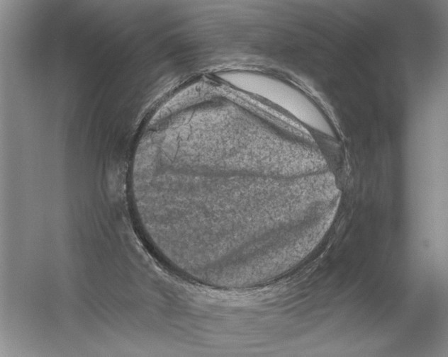 X0000058830010200510282235