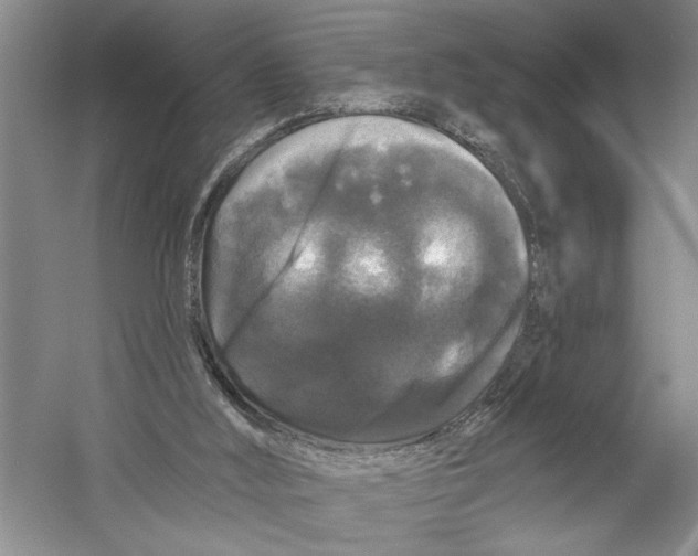 X0000058830012200510282235