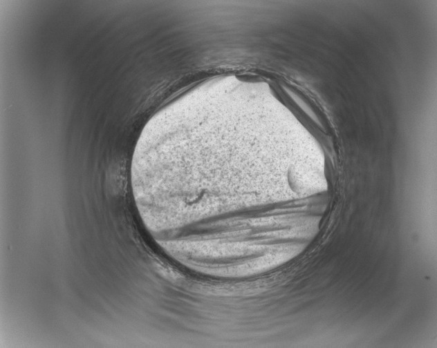 X0000058830017200510282235