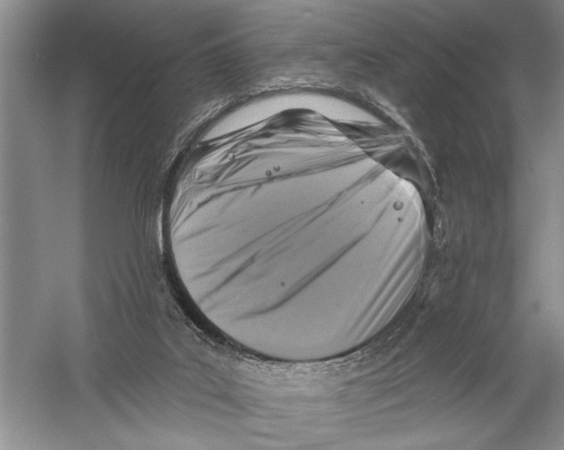 X0000058830019200510282235