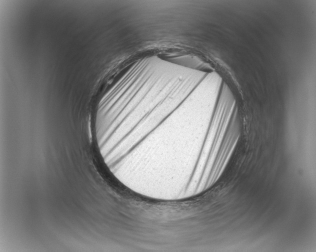 X0000058830020200510282235