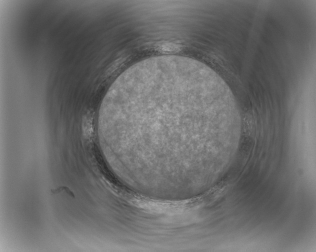 X0000058830032200510282235