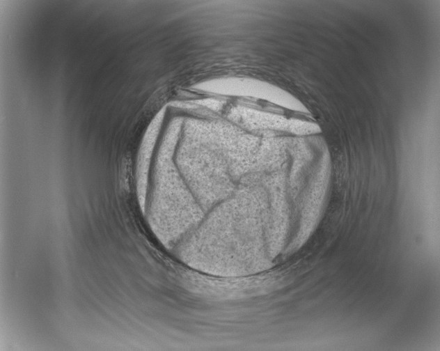 X0000058830038200510282235