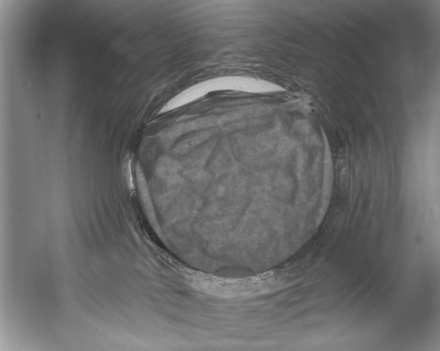 X0000058830042200510282235