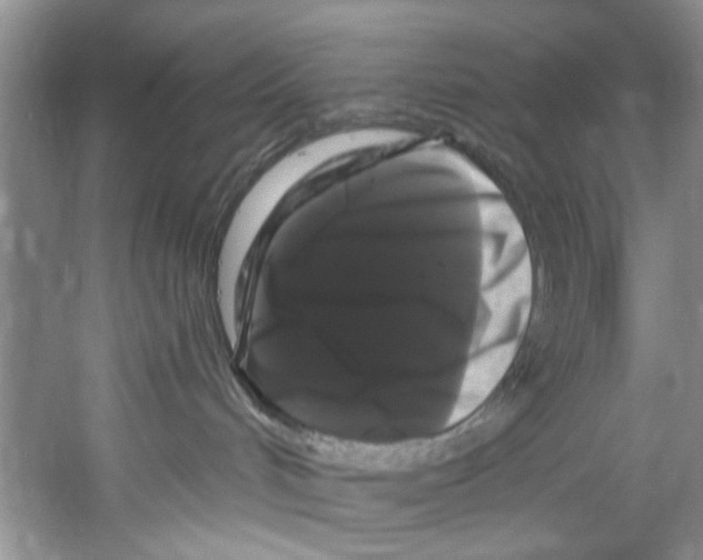 X0000058830048200510282235