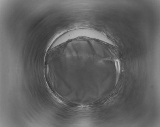 X0000058830052200510282234