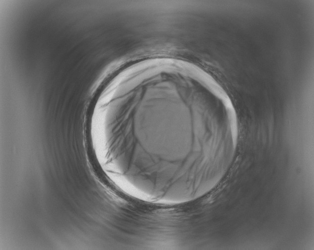 X0000058830054200510282234