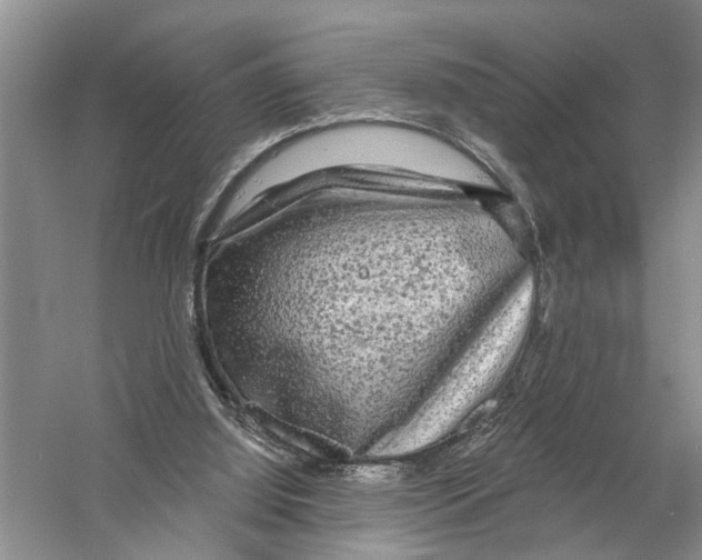 X0000058830060200510282234