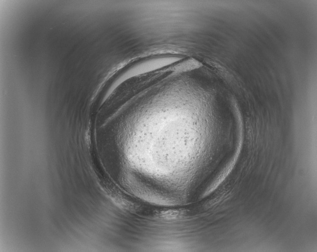 X0000058830064200510282234