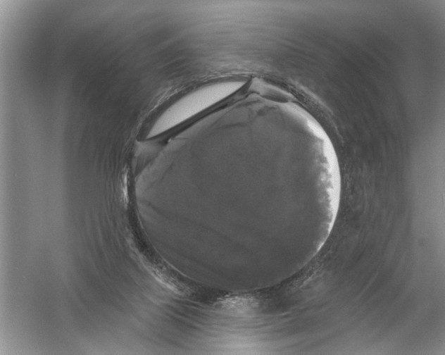 X0000058830067200510282234