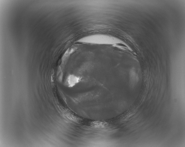X0000058830073200510282234