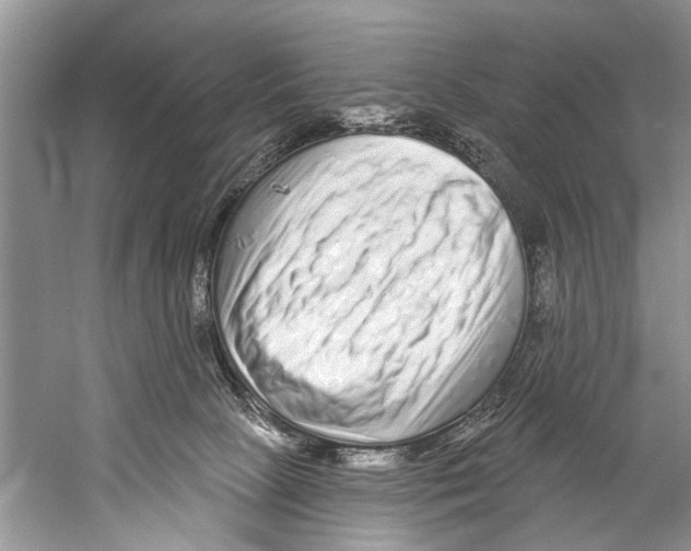 X0000058830081200510282235