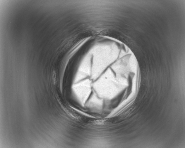X0000058830090200510282235