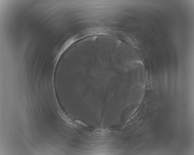 X0000058830099200510282234