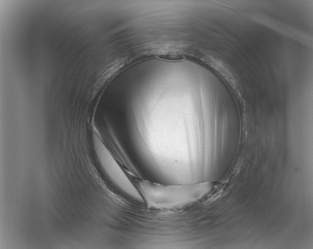 X0000058830105200510282234