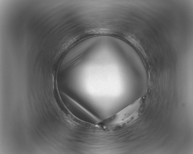 X0000058830109200510282234