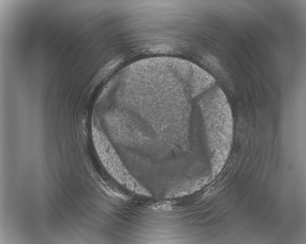 X0000058830116200510282234