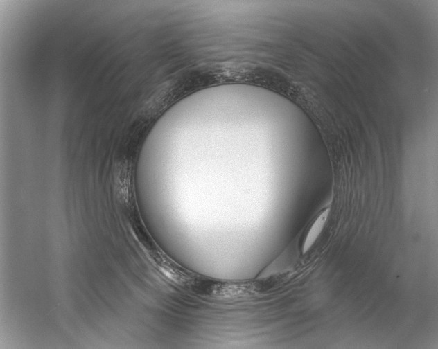 X0000058830129200510282233