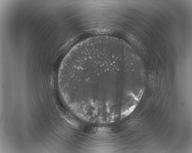 X0000058830165200510282233