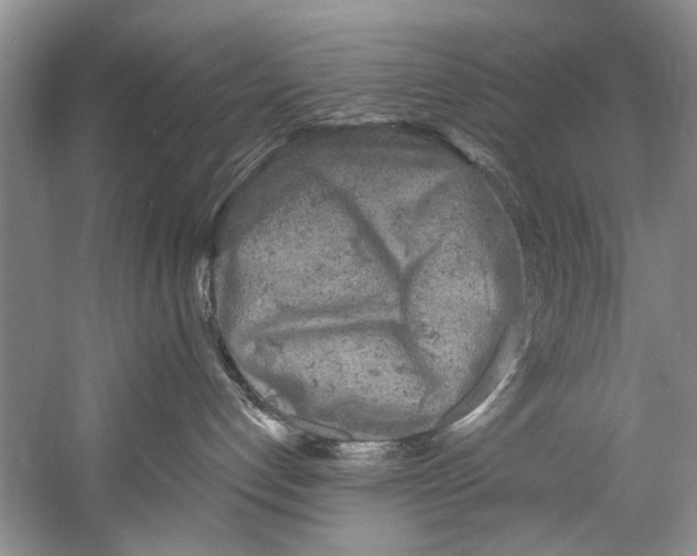 X0000058830192200510282233