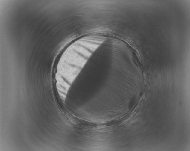 X0000058830196200510282232