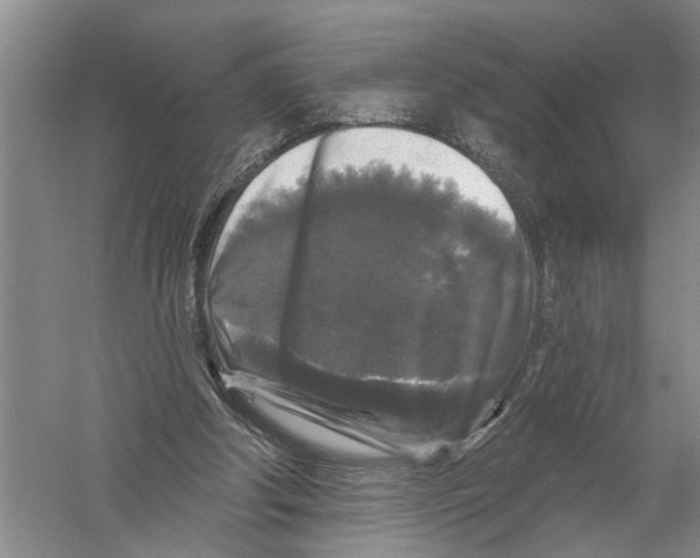 X0000058830202200510282232