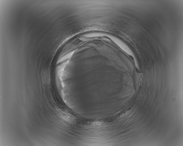 X0000058830204200510282232