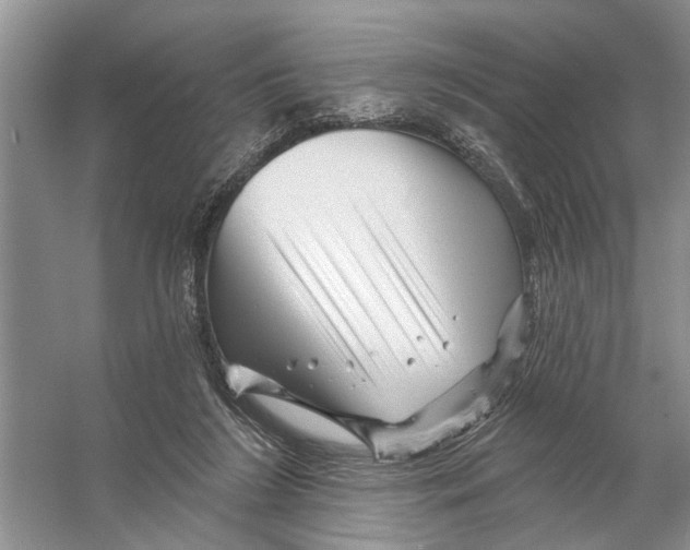 X0000058830212200510282232
