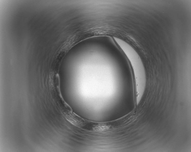 X0000058830217200510282232