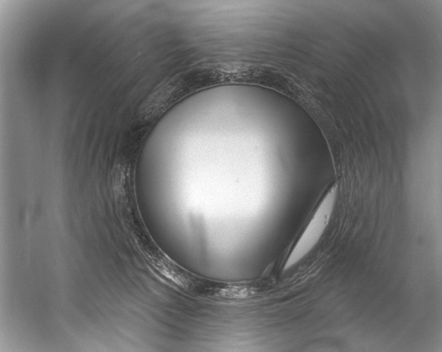 X0000058830225200510282232