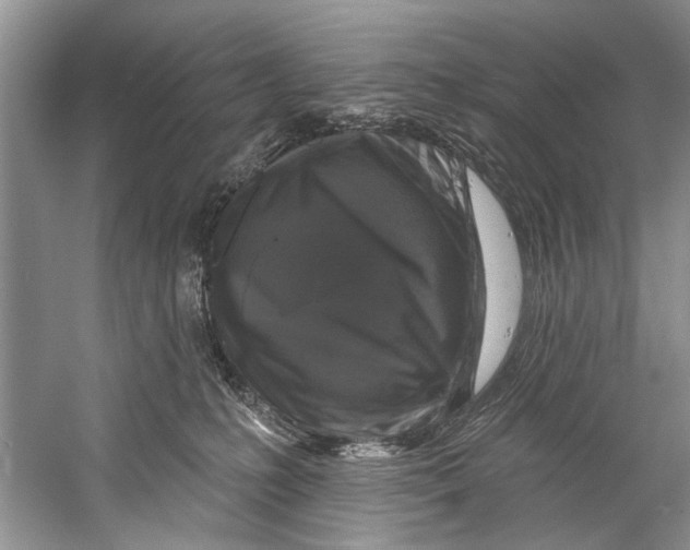 X0000058830231200510282232