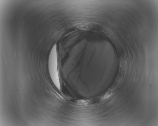 X0000058830239200510282232