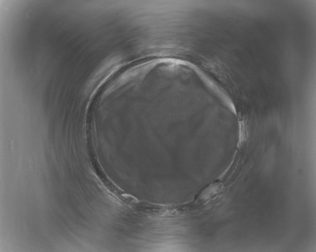 X0000058830243200510282231