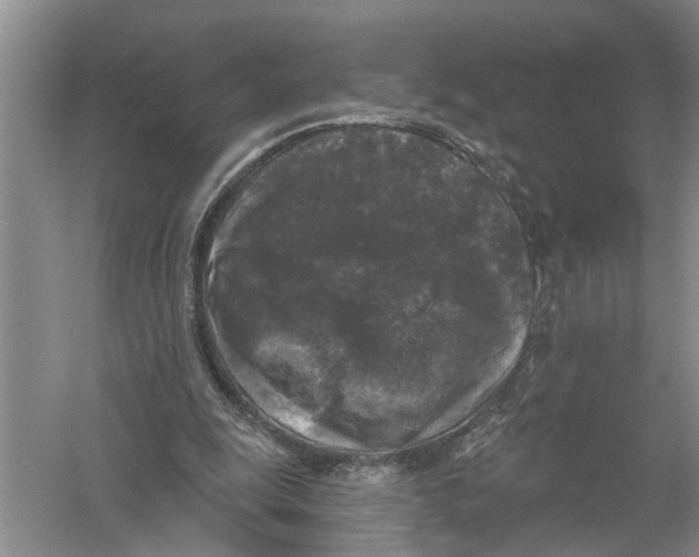 X0000058830247200510282231