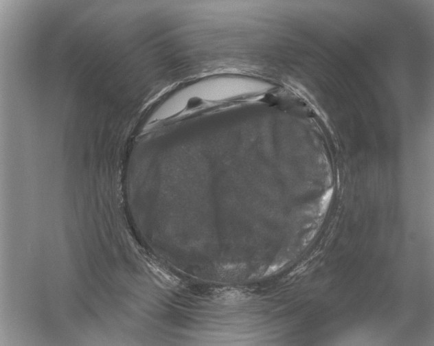 X0000058830249200510282231