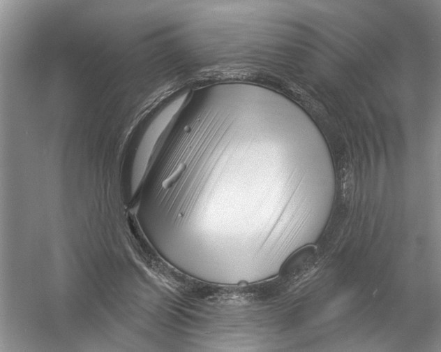 X0000058830254200510282231