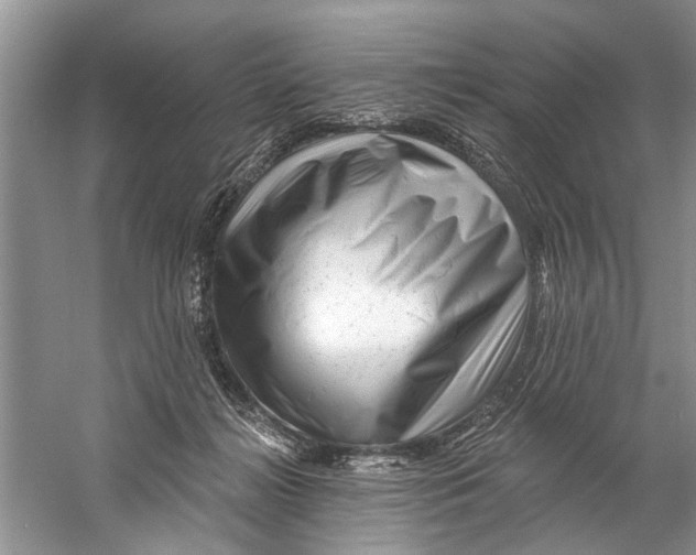 X0000058830268200510282231