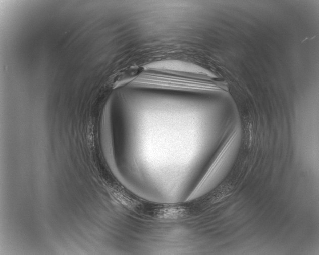 X0000058830274200510282231