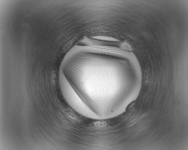 X0000058830279200510282231