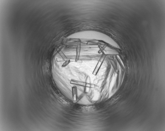 X0000058830281200510282231