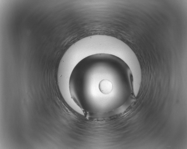 X0000058830287200510282231