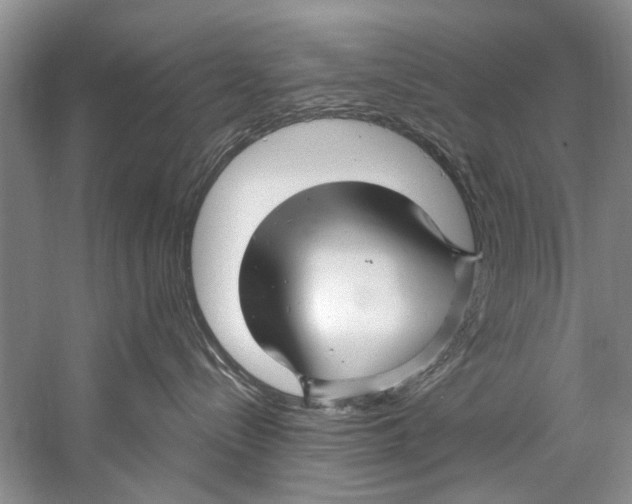 X0000058830288200510282231