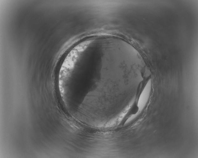 X0000058830295200510282231